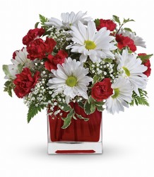 Red And White Delight by Teleflora from McIntire Florist in Fulton, Missouri